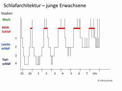 REM-Schlaf | Schlafblog – das Weblog von Dr. Barbara Knab